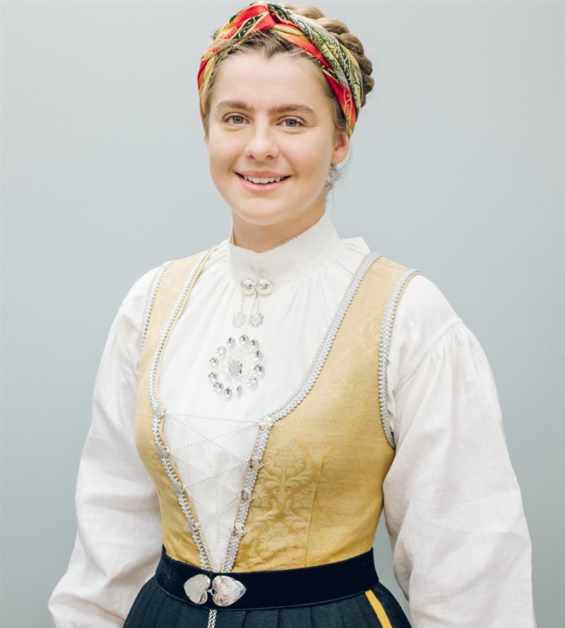 Bilde av Gul vest