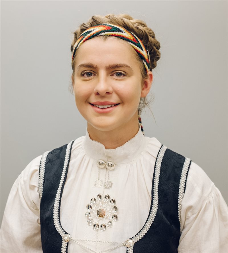 Bilde av Hårbånd