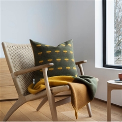 Bilde av Syndin pledd