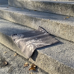 Bilde av Tromsøpalmen SITTEUNDERLAG