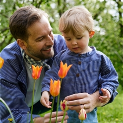 Bilde av Busserull minsten