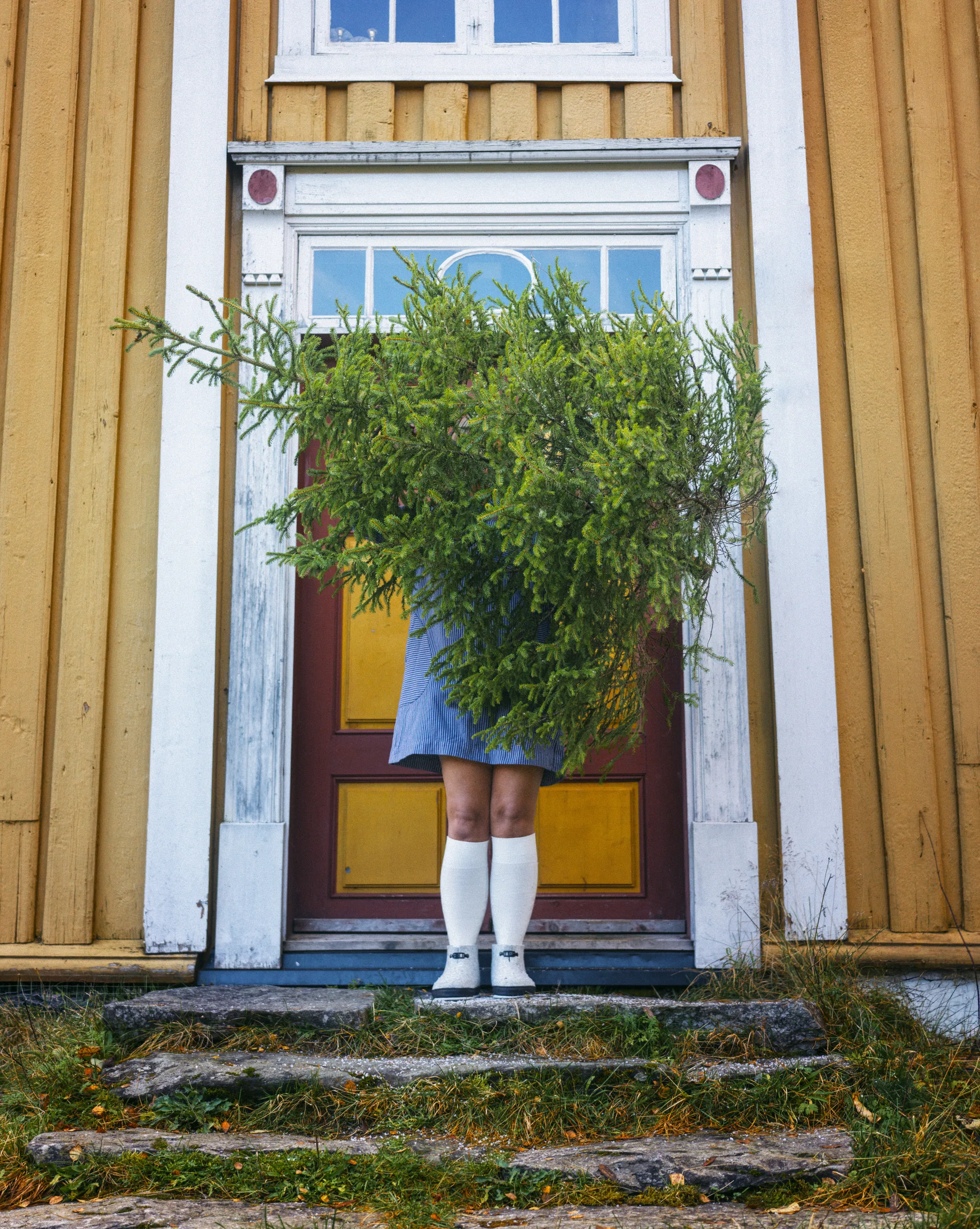 Julegaver i alle prisklasser